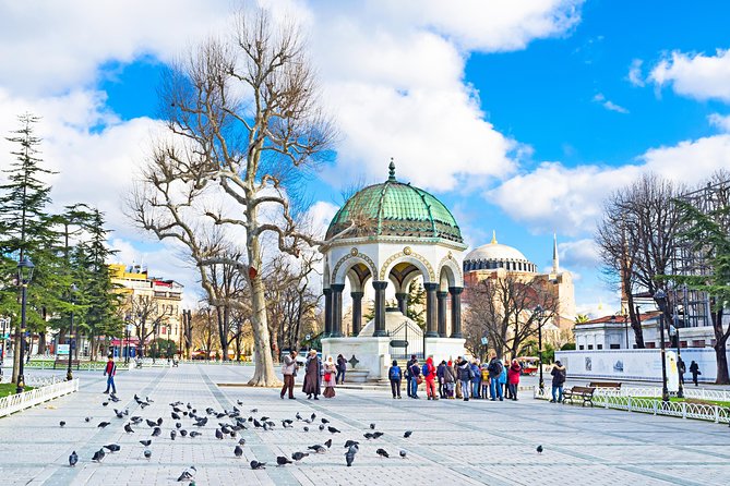 1-Day Private Istanbul Layover Tour - Who This Private Tour Suits Best (and Who Should Reconsider)