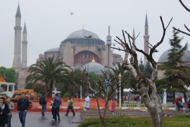 1,2 or 3 DAY: Private Guided Istanbul Tour from CRUISE SHIP or HOTEL - Price and Logistics: What You’re Really Paying For