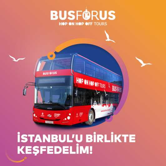 2 Days – 2 Routes – Unlimited Istanbul Experience - The 48-Hour Unlimited Ticket: How to Use It Without Wasting Time