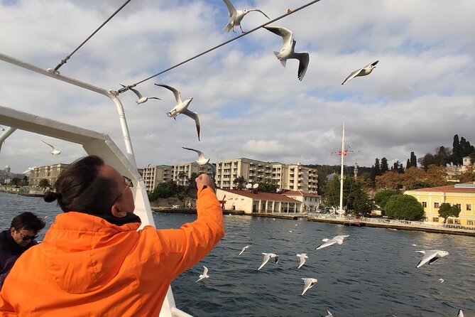 2-Hour Bosphorus Cruise in Istanbul with Guide - Bosphorus Cruise With Guide: What This 2-Hour Trip Feels Like