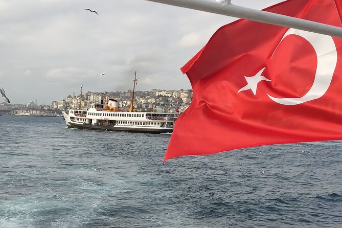 2-Hour Bosphorus Cruise in Istanbul with Guide - Mosques, upscale neighborhoods, and the view of Istanbul after dark