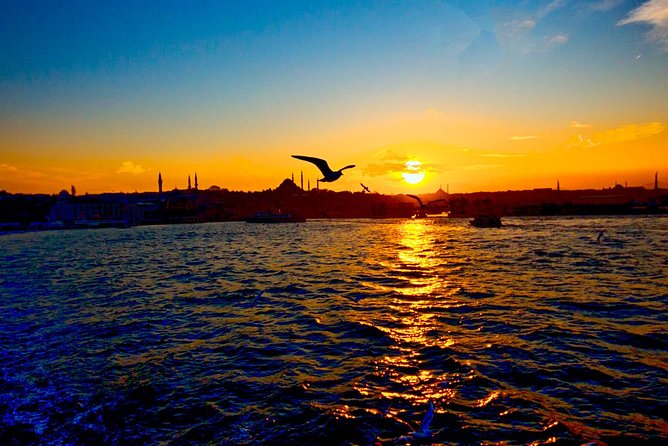2-Hour Private Luxury Yacht Cruise on Bosphorus with Transfers - Galata Bridge and Hagia Sophia: First Big City Landmarks From the Water