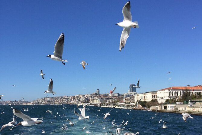 2-Hour Private Luxury Yacht Cruise on Bosphorus with Transfers - Crossing Europe to Asia: Maiden’s Tower and the Shoreline Story