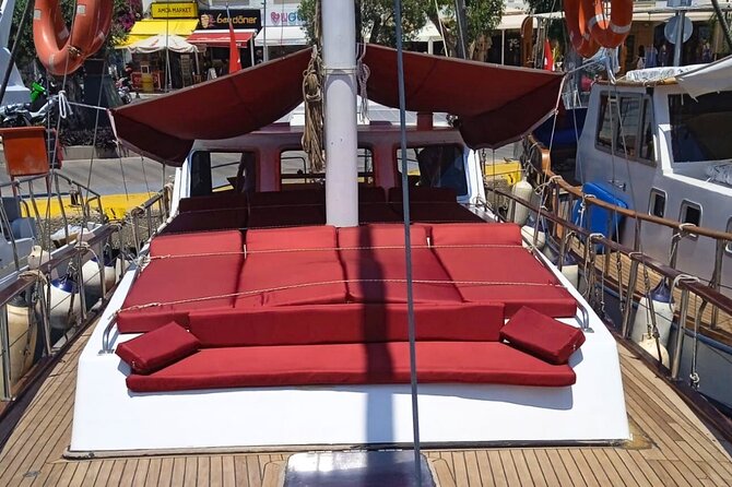 6 Hour Private Shore Excursion To Bodrum with Lunch Included - Swimming and snorkeling gear: the point is fewer logistics for you