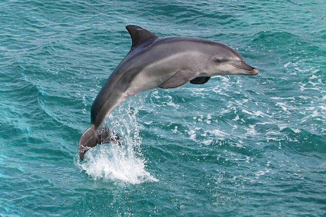 Alanya Catamaran Boat Trip incl. Lunch and drinks - The Water Breaks: Swimming and Snorkeling in Clear Mediterranean Conditions
