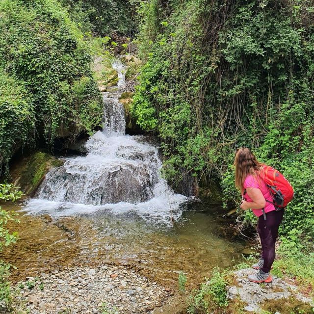 Alanya Family Jeep Safari: Scenic Adventure for All Ages - Lunch on the Dimçay River: grilled food plus a swim break