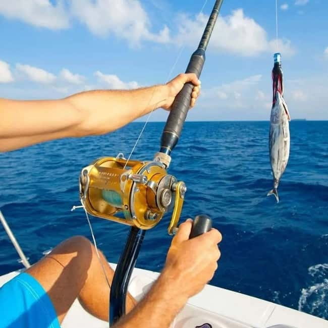 Alanya: Fishing Tour with Lunch and Hotel Transfers - Lunch on board and the BBQ question: plan for flexibility