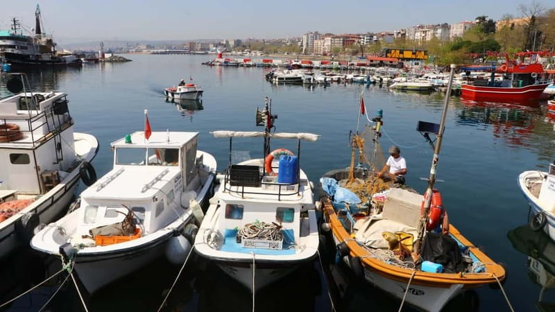 Alanya: Fishing Tour with Lunch and Hotel Transfers - From Alanya port past the Red Tower and Alanya Castle