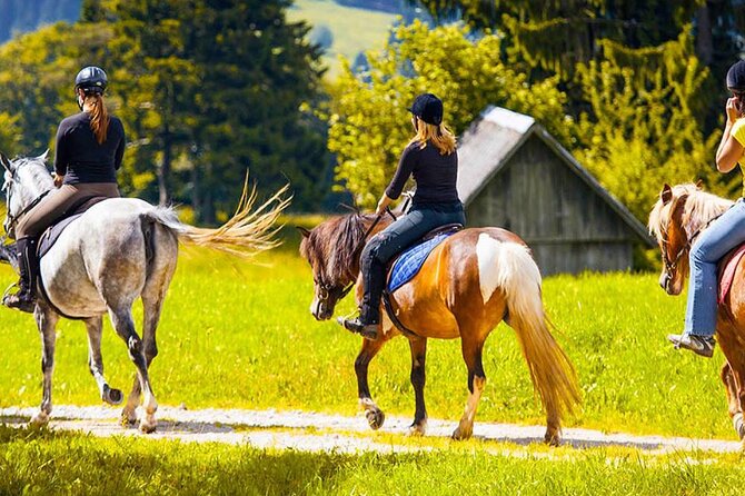 Alanya Horse Riding Experience With Free Hotel Transfer - Timing, Booking, and Weather: The Part People Forget