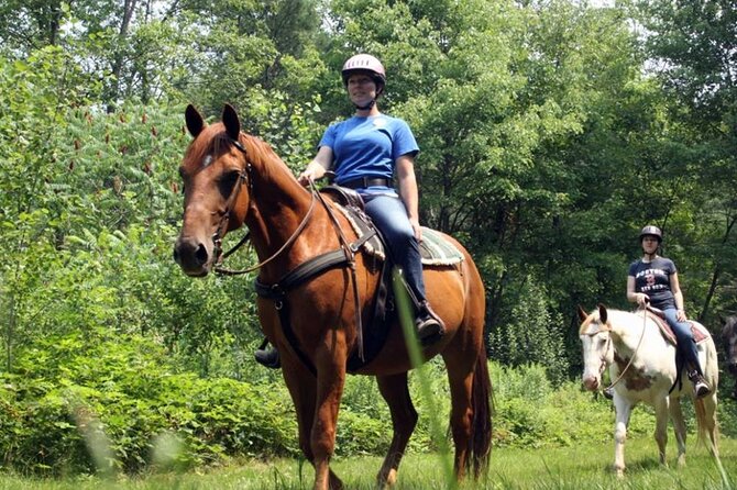 Alanya Horse Riding Experience With Free Hotel Transfer - Who This Horse Ride Fits Best (and Who Should Skip It)