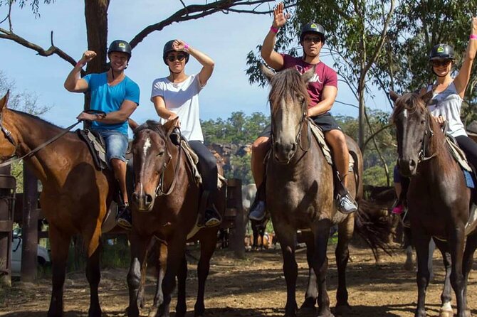 Alanya Horse Riding Experience With Free Hotel Transfer - Booking Reality: Cancellation and the “Last-Minute” Question