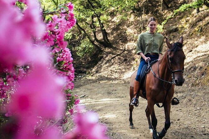 Alanya Horse Riding Experience With Free Hotel Transfer - Back at the Ranch: Why the Ending Feels Smooth