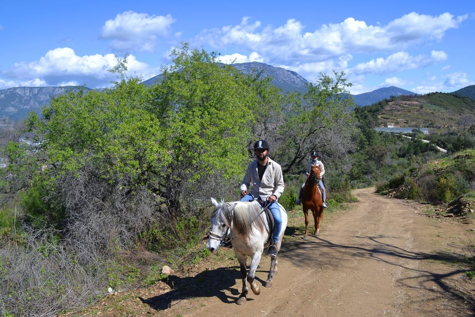 Alanya: Horse Riding Tour - Key Highlights You’ll Actually Care About