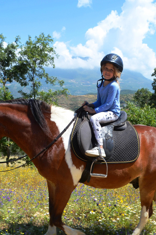 Alanya: Horse Riding Tour - The 2.5-Hour Ride: Forest Trails, Banana Gardens, and Big Coastal Views