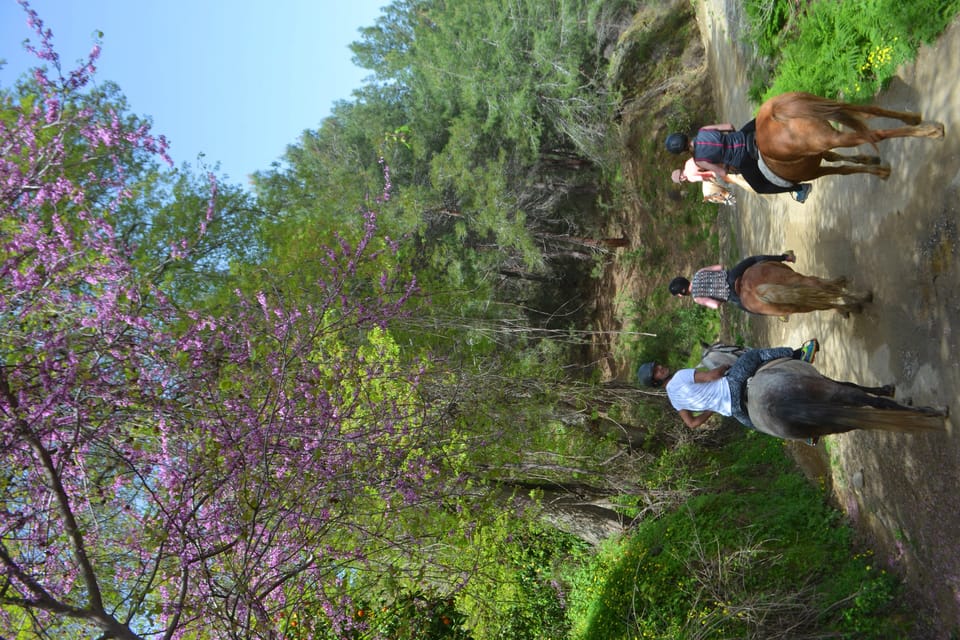 Alanya: Horse Riding Tour - Foam Party Moment and the Tea Stop Back at the Horse Farm