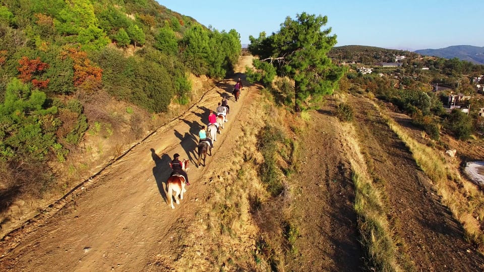 Alanya: Horse Riding Tour - Who This Tour Fits Best (And Who Should Skip It)