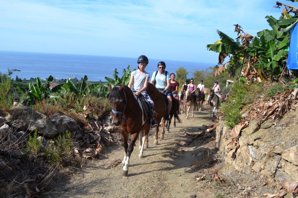 Alanya: Horse Riding Tour - What to Wear and Bring So the Ride Feels Easy