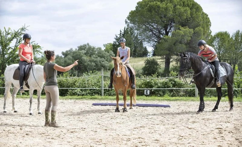 Alanya: Horse Riding Tour with Hotel Transfers - Key Things You’ll Remember About This Alanya Horse Riding Day