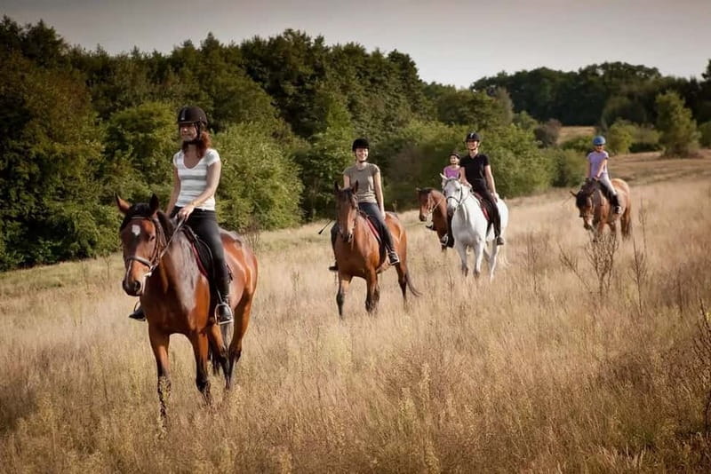 Alanya: Horse Riding Tour with Hotel Transfers - Alanya Horse Riding From Seki Village: The Real Day in Plain Words