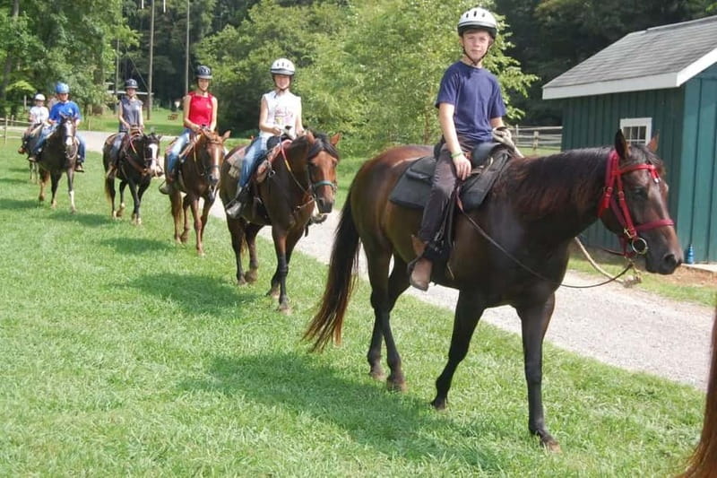 Alanya: Horse Riding Tour with Hotel Transfers - Who This Tour Suits Best (and Who Might Want Something Else)