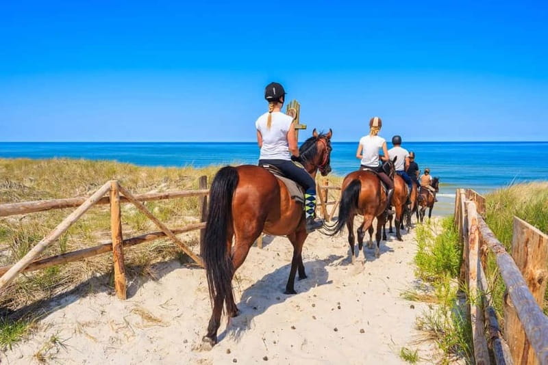 Alanya: Horse Riding Tour with Hotel Transfers - Pickup in Alanya and Arrival at the Ranch Near Demirtaş