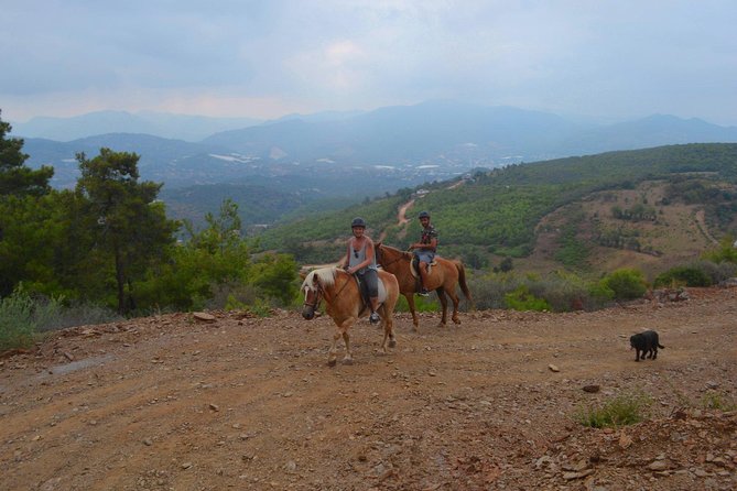 Alanya: Horseback Ride Through Nature near Syedra Ruins - Who should book this Alanya horseback ride?
