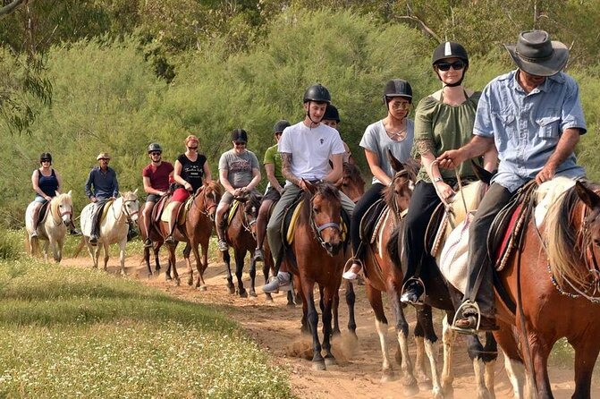 Alanya Horseback Riding Experience - Pickup and timing: what “3 hours” really means