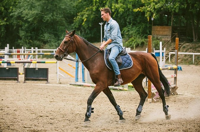 Alanya Horseback Riding Experience - Safety and horse welfare: what to look for on arrival