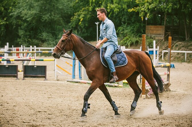 Alanya Horseback Riding Experience - Who should book this ride (and who should consider other options)