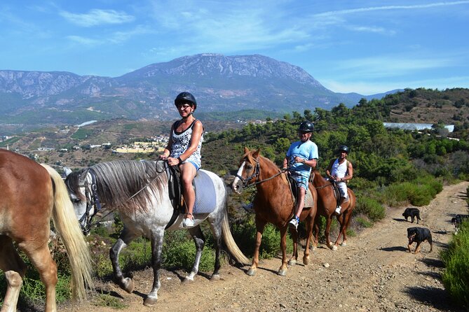 Alanya: Horseback Riding in Taurus: Forest Sea Views 2.5 Hours - Key things to know before you go