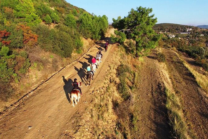 Alanya: Horseback Riding in Taurus: Forest Sea Views 2.5 Hours - The long route through Alanya: bazaar, beach, castle, and viewpoints