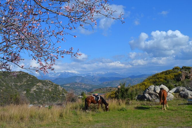 Alanya: Horseback Riding in Taurus: Forest Sea Views 2.5 Hours - Photos, sea air, and the kind of memory that sticks