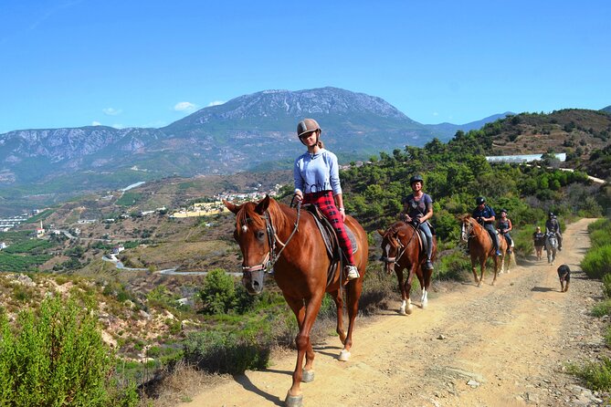 Alanya: Horseback Riding in Taurus: Forest Sea Views 2.5 Hours - The horses, the briefing, and feeling safe fast