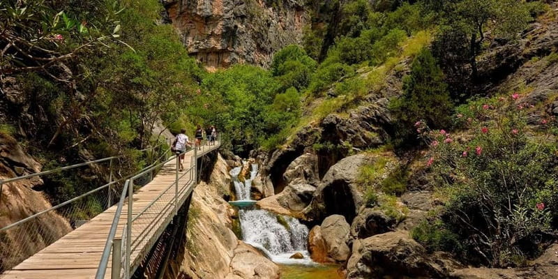 Alanya: Sapadere Canyon Tour w/Scenic Views and Lunch - Walking Sapadere Canyon: waterfalls, wooden paths, and the cold-water reality