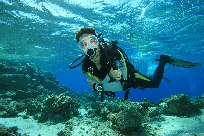 Alanya Scuba Diving Adventure: 2 Guided Dives with Lunch - Alanya morning logistics: pickup, marina, and getting suited up