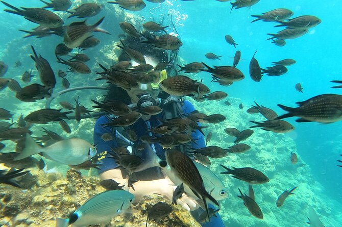 Alanya Scuba Diving Adventure: 2 Guided Dives with Lunch - The boat break and onboard lunch between sessions
