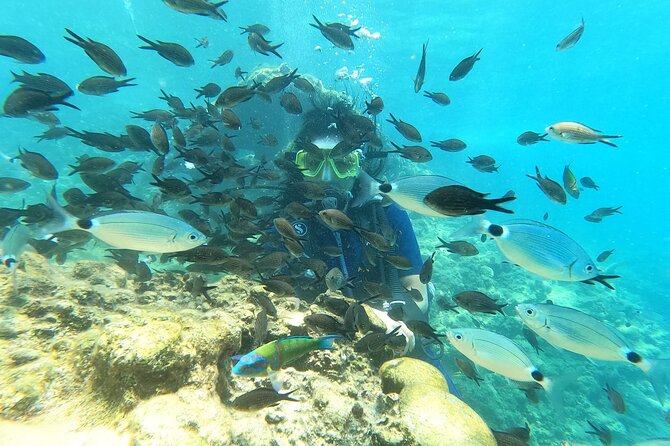 Alanya Scuba Diving Adventure: 2 Guided Dives with Lunch - Second underwater session: deeper comfort, calmer bay, and continuous swimming time