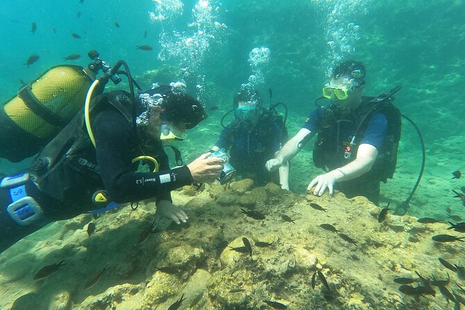 Alanya Scuba Diving Adventure: 2 Guided Dives with Lunch - The optional photos and videos: how to decide without getting pressured