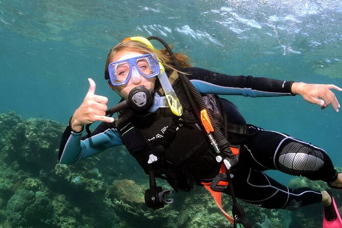 Alanya Scuba Diving Adventure: 2 Guided Dives with Lunch - Value check: is $54.01 a fair deal for two guided sessions?