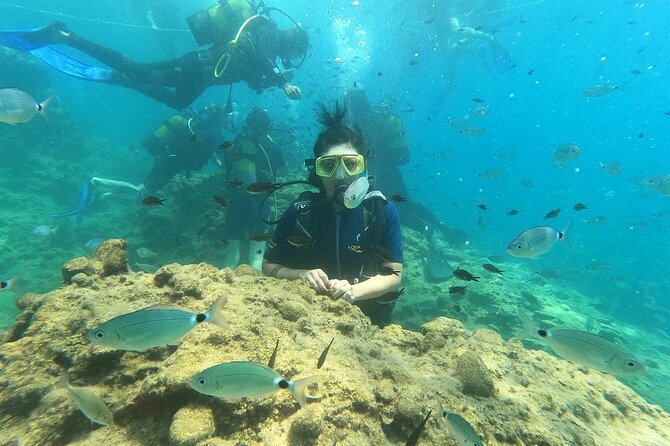 Alanya Scuba Diving Adventure: 2 Guided Dives with Lunch - Who should book this Alanya scuba adventure, and who should sit this one out