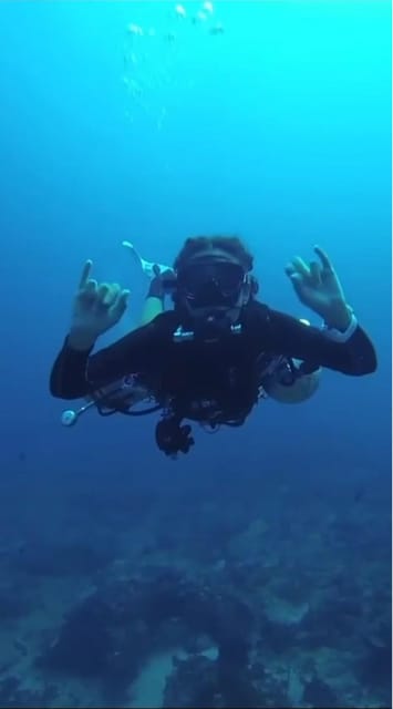 Alanya: Scuba Diving Boat Tour with Lunch and Equipment - Key Highlights You’ll Actually Care About