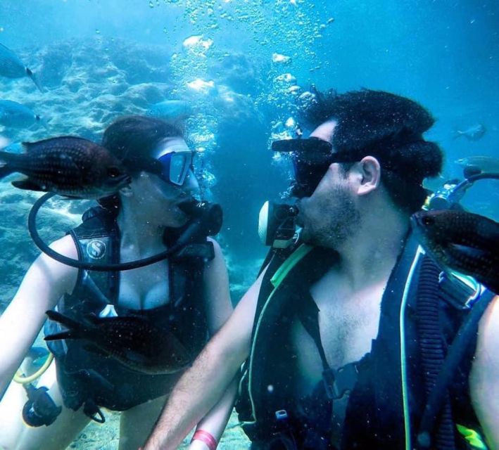 Alanya: Scuba Diving Experience with Lunch - Key things I’d watch for on this Alanya scuba day