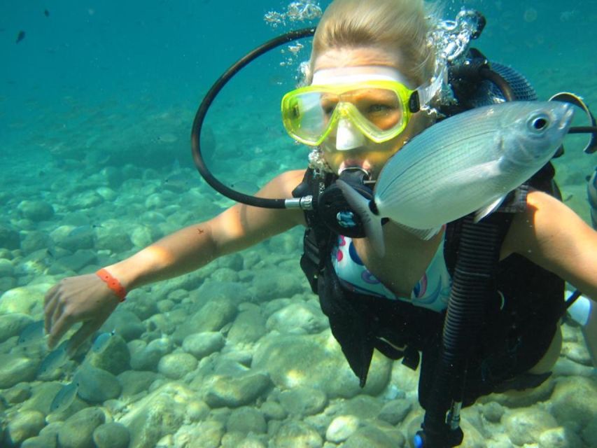 Alanya: Scuba Diving Experience with Lunch - From Alanya Hotel Pickup to Alanya Marina: how the day starts