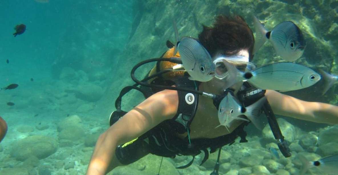 Alanya: Scuba Diving Experience with Lunch - Two underwater sessions off the Turkish Riviera: what you’ll actually do