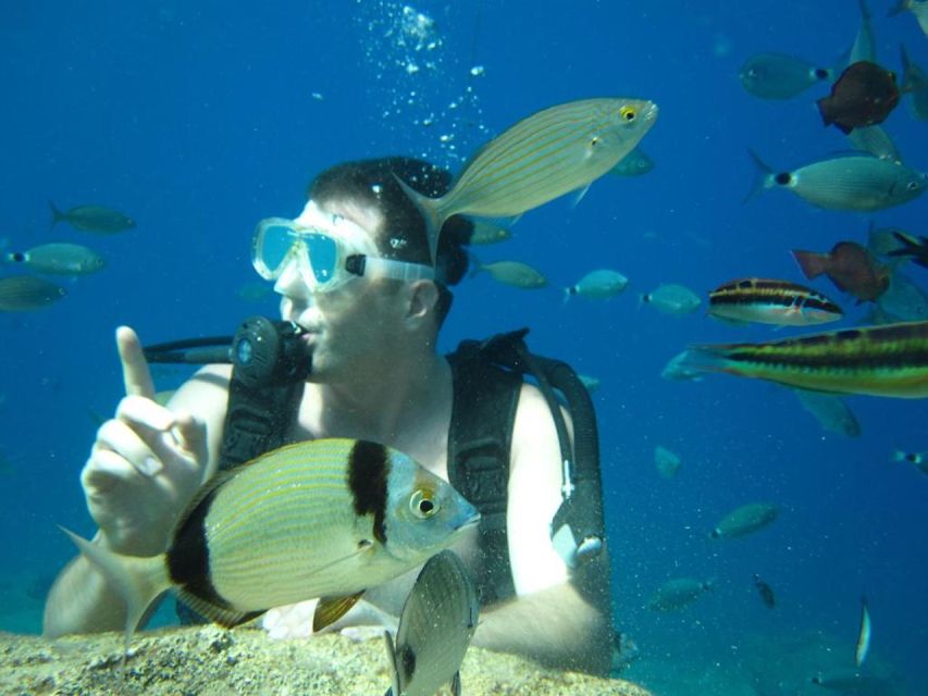 Alanya: Scuba Diving Experience with Lunch - Lunch on the boat: the break that makes this tour feel complete