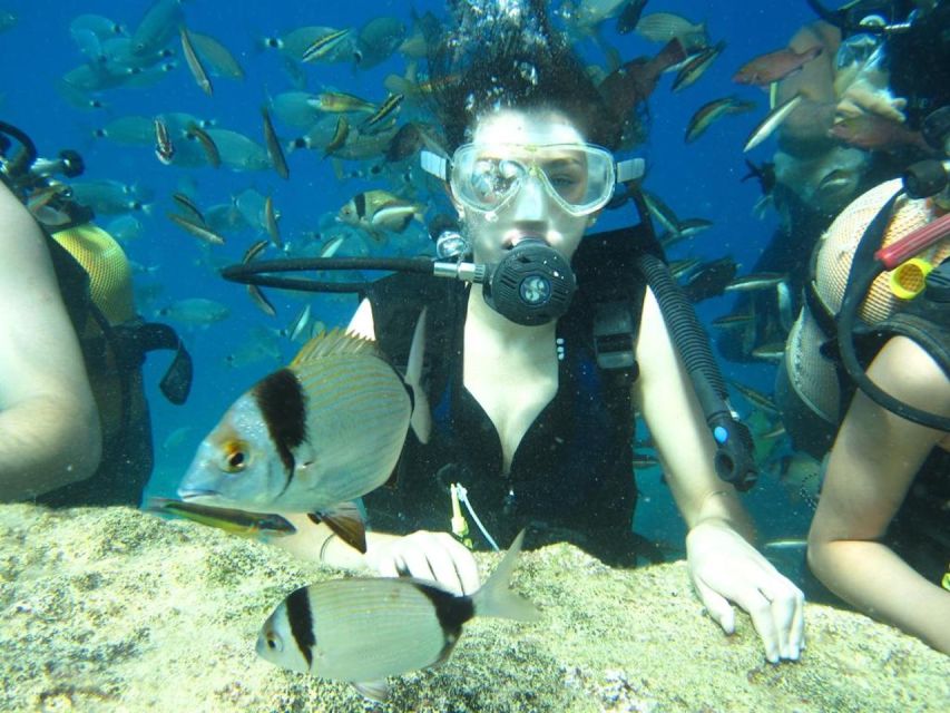 Alanya: Scuba Diving Experience with Lunch - Price and value (about $50): what you’re really paying for