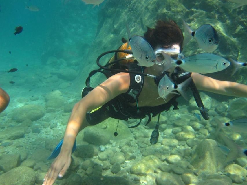 Alanya: Scuba Diving Experience with Lunch - Gear, briefing, and the staff language question