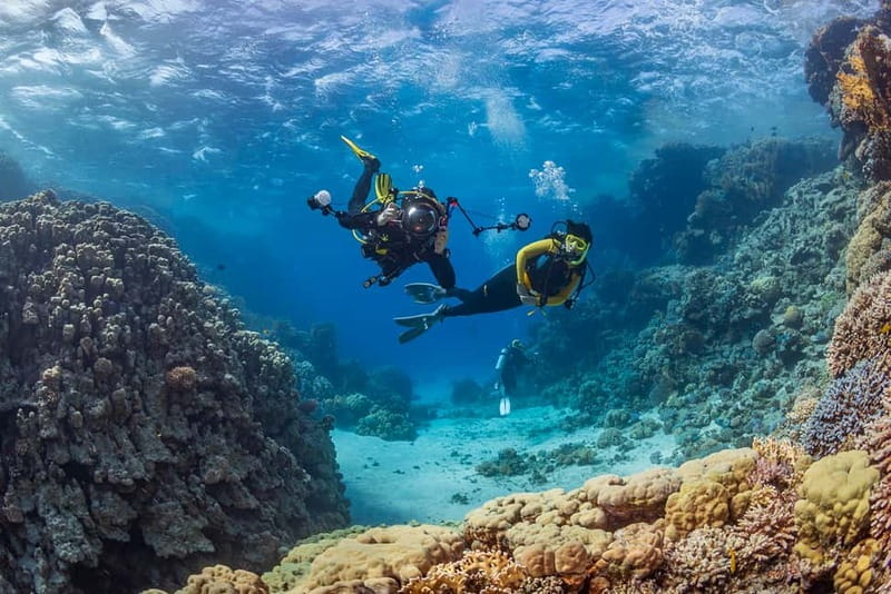 Alanya: Scuba Diving Tour with Lunch and Hotel Transfers - Key highlights that matter on this Alanya water day