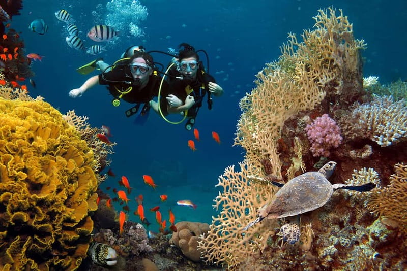 Alanya: Scuba Diving Tour with Lunch and Hotel Transfers - First-Time Friendly Day Near Alanya Castle Caves