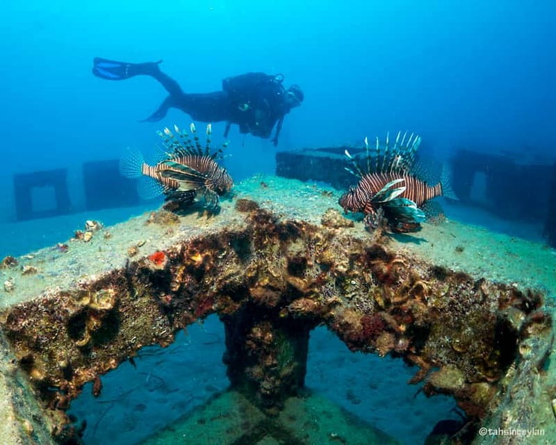 Alanya: Scuba Diving Tour with Lunch and Hotel Transfers - Lunch, Breaks, and Boat Comfort Between Sessions